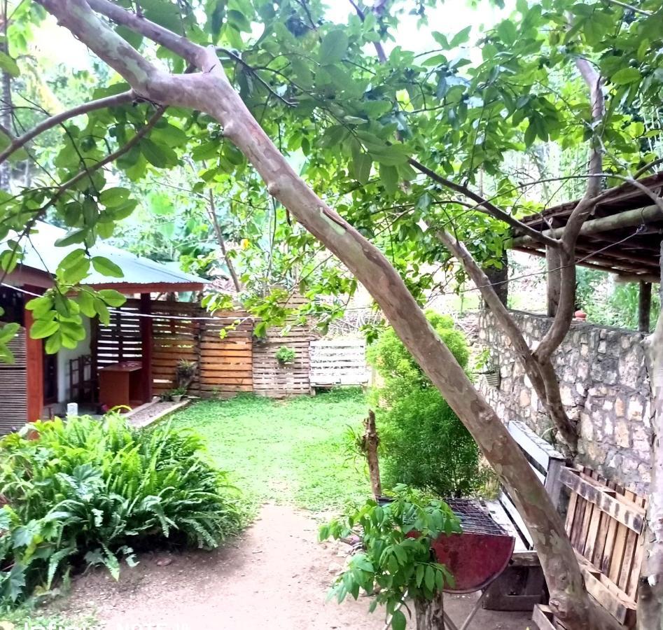 Ella Foret Accommodation Kültér fotó