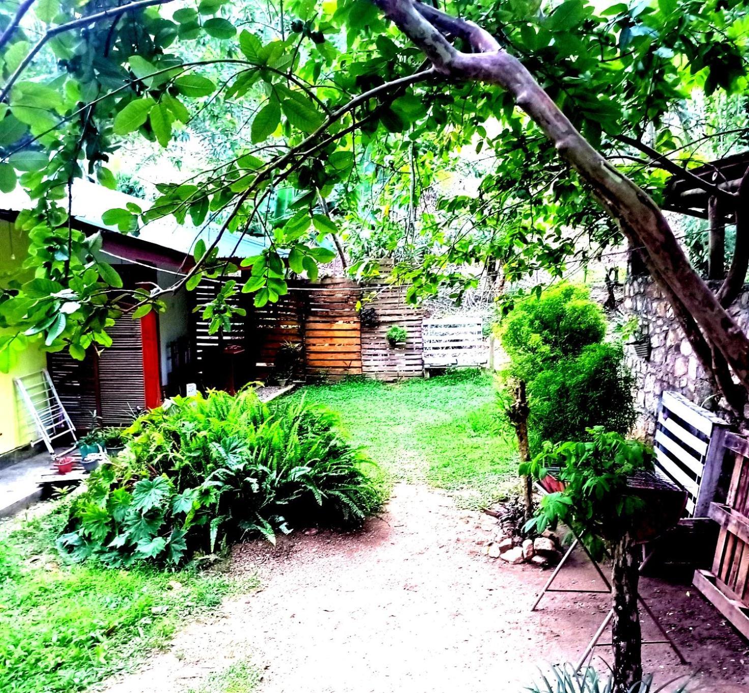 Ella Foret Accommodation Kültér fotó