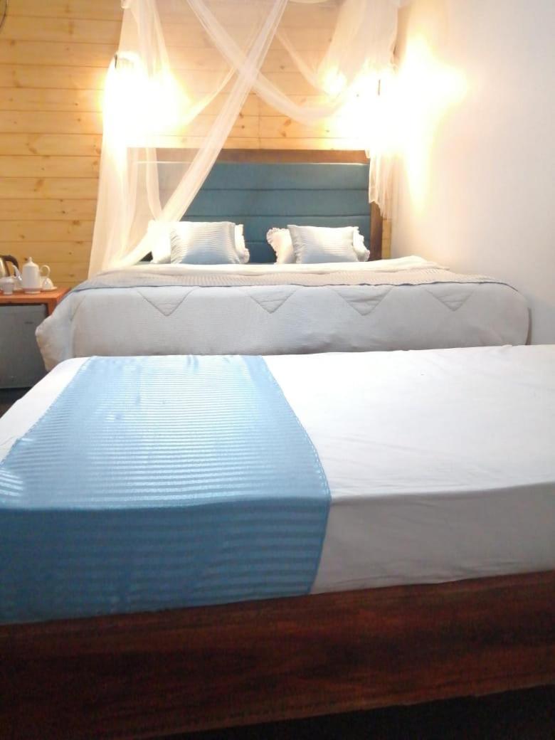 Ella Foret Accommodation Kültér fotó